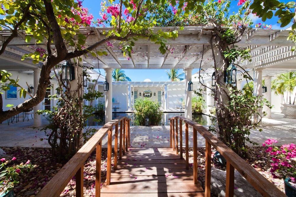 The Palms Turks And Caicos Hotel Grace Bay Ngoại thất bức ảnh
